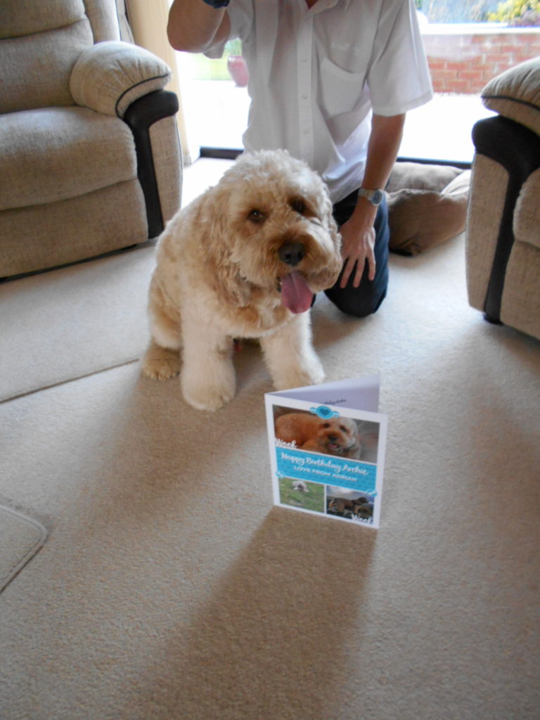 Clumberdoodle Archie's large 4th Birthday Card