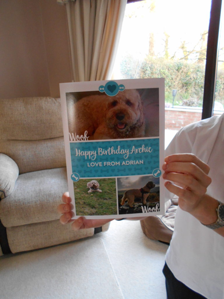 Clumberdoodle Archie's large 4th Birthday Card