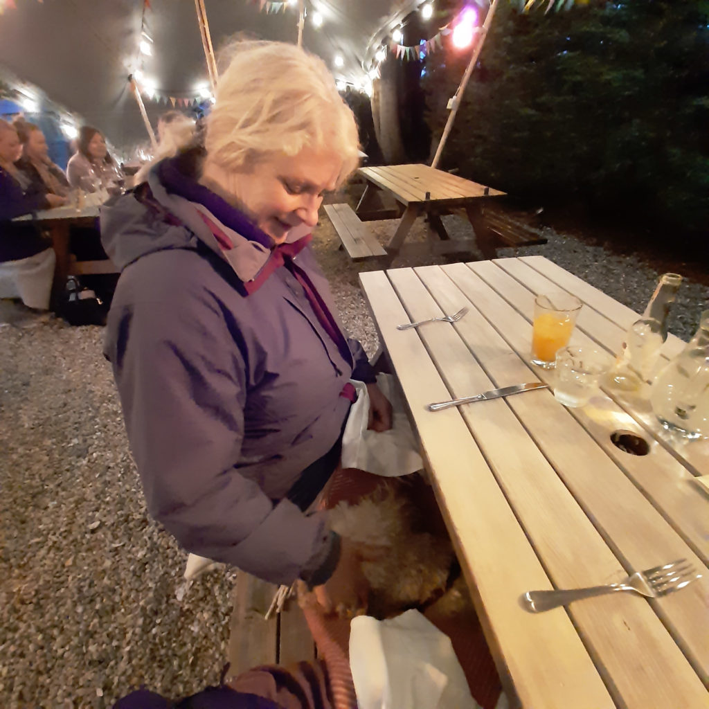 Blustery evening at The Oaks Highcliffe