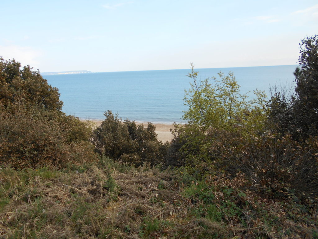 View from garden Steamer Point Lodge Dorset