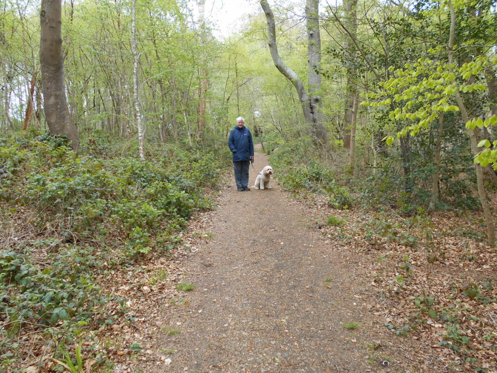 Steamer Point Nature Reserve