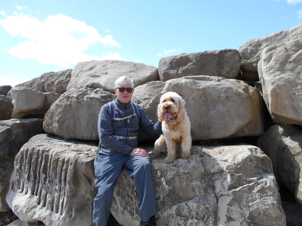Clumberdoodle Archie on rocks on beach coming back from Barton on Sea
