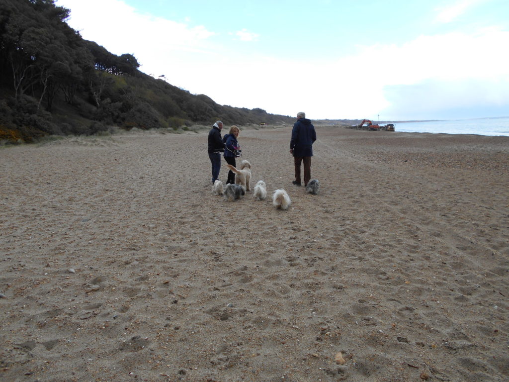 Walk along Steamer Point Beach