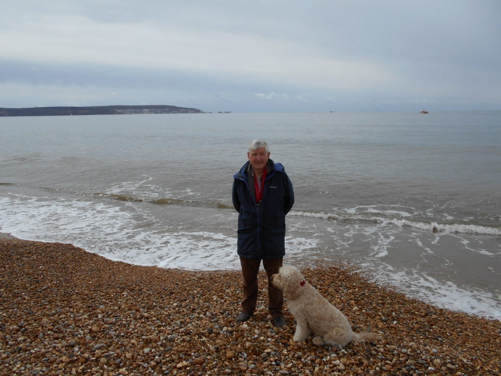 Clumberdoodle Archie at Milford on Sea