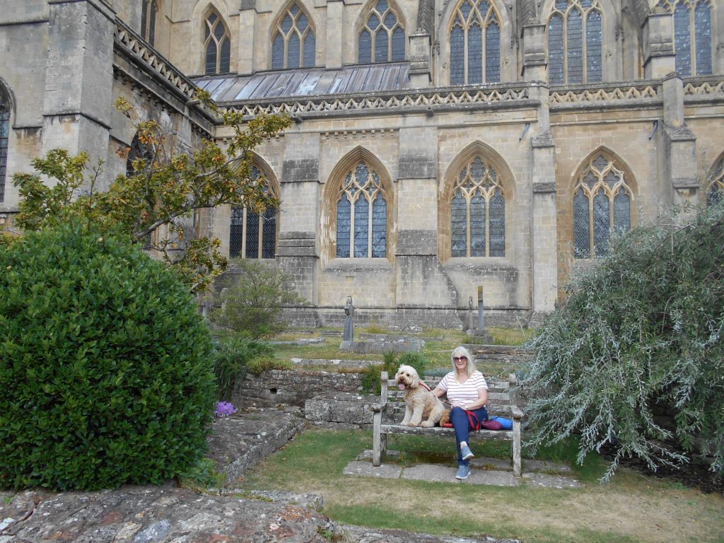 Garden at Wells Cathedral Somerset