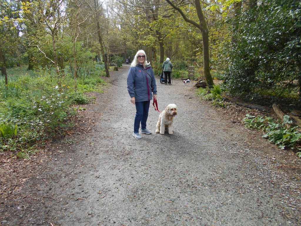 Lost Gardens of Heligan