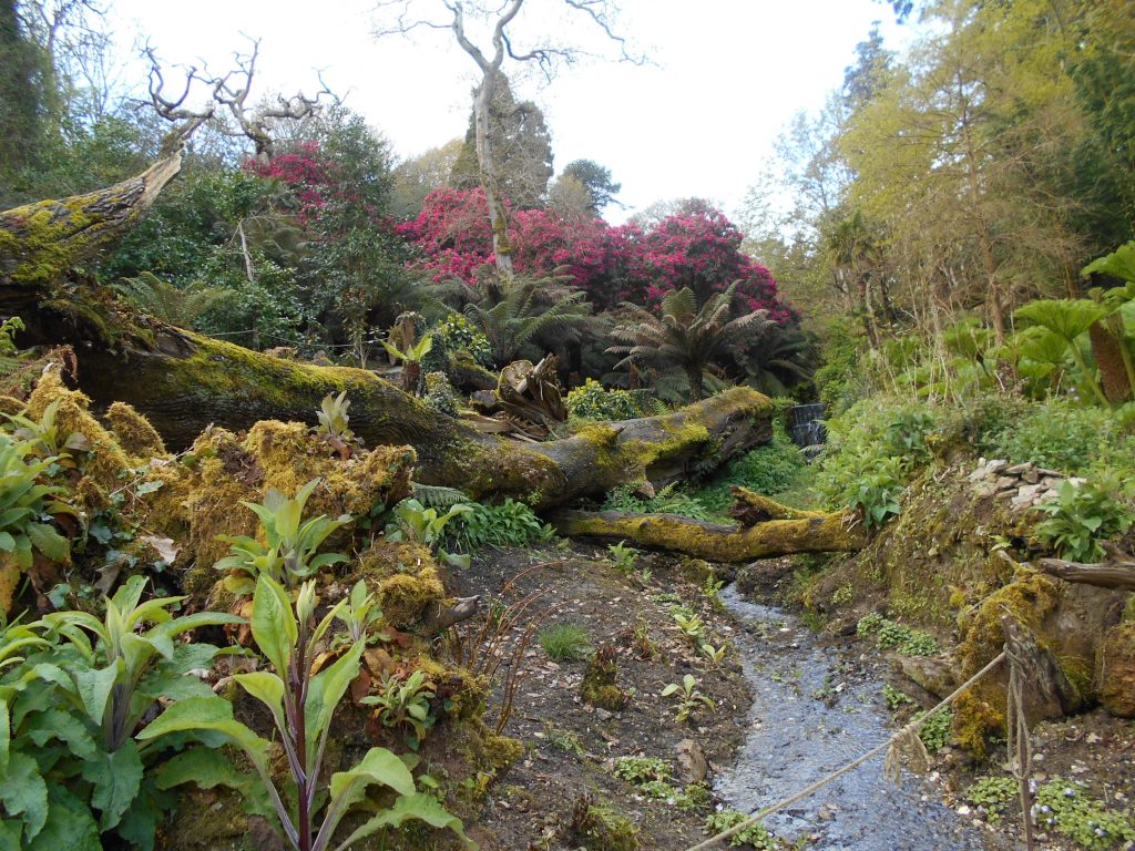 Lost Gardens of Heligan