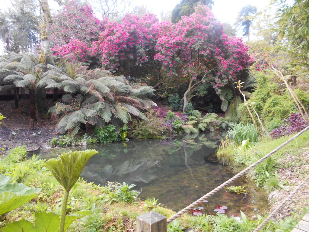 Lost Gardens of Heligan