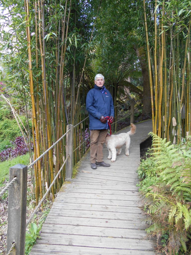 Lost Gardens of Heligan