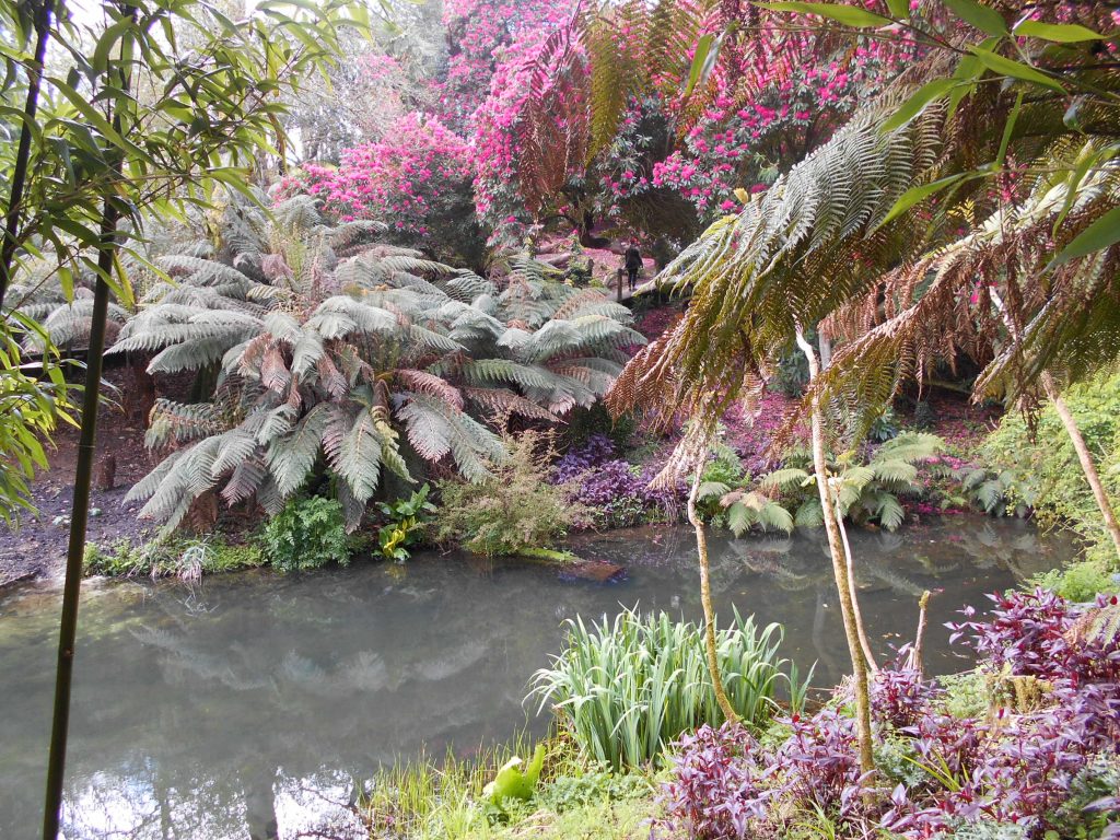 Lost Gardens of Heligan