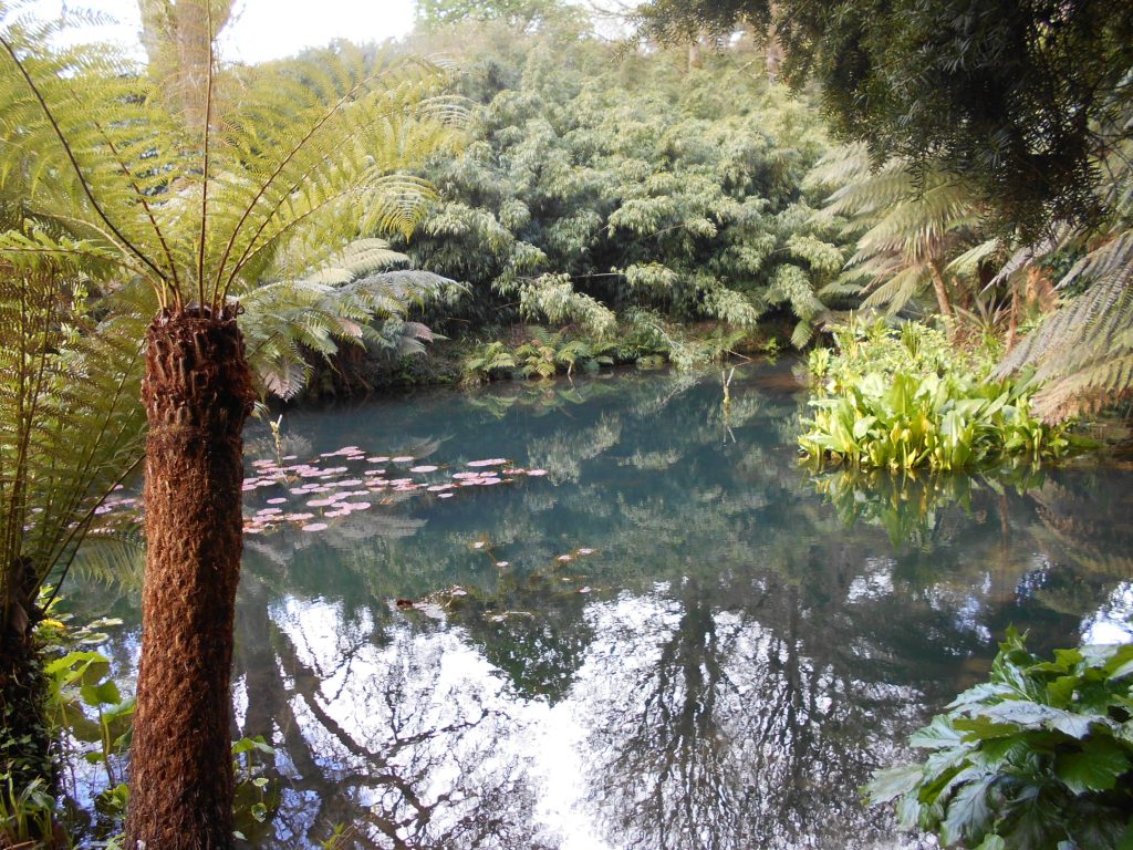 Lost Gardens of Heligan