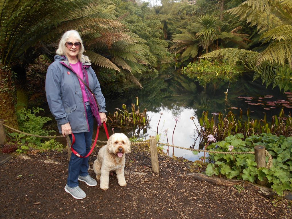 Lost Gardens of Heligan