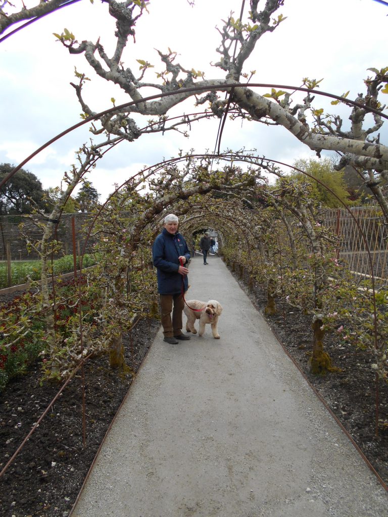 Lost Gardens of Heligan