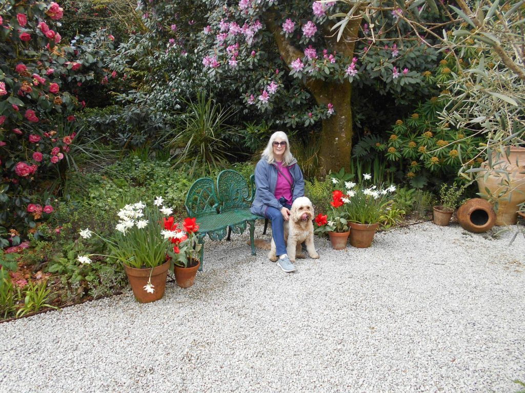 The Lost Gardens of Heligan