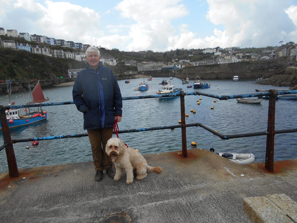 Clumberdoodle Archie at Mevagissey Cornwall