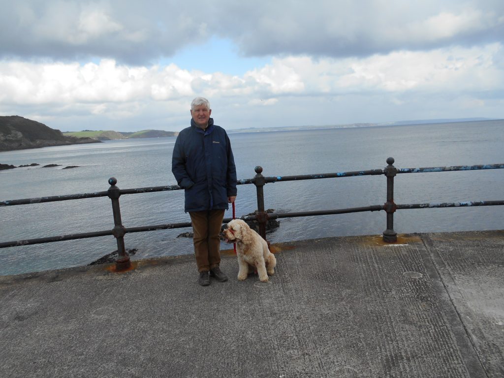 Clumberdoodle Archie at Mevagissey Cornwall