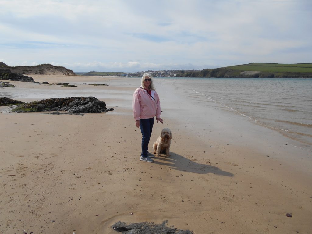 Clumberdoodle Archie on Rock Beach Cornwall