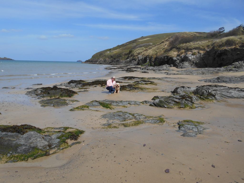 Rock Beach Cornwall