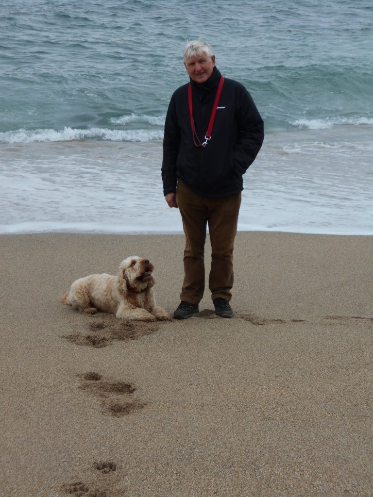 Clumberdoodle Archie on Porthleven beach Cornwall