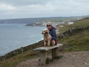 Mawgan Porth Holiday 2023 with Clumberdoodle Archie
