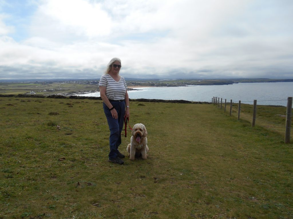 Dinas Head Trevose