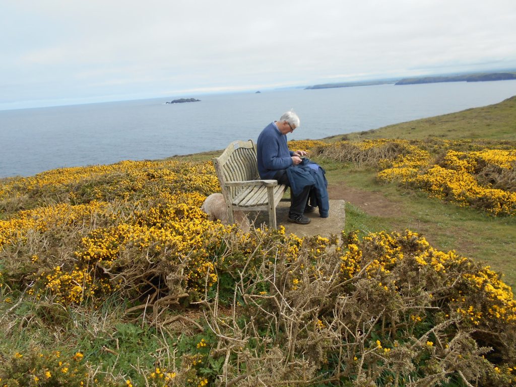 The top of Dinas Head Trevose Cornwall