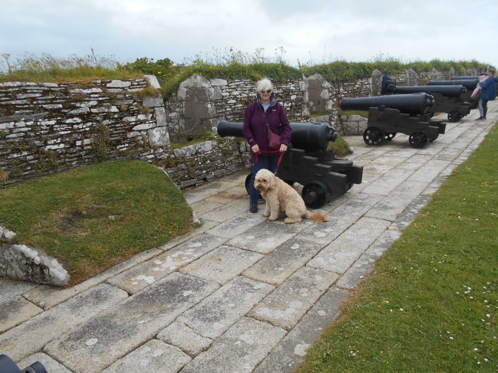 Pendennis Castle Grounds