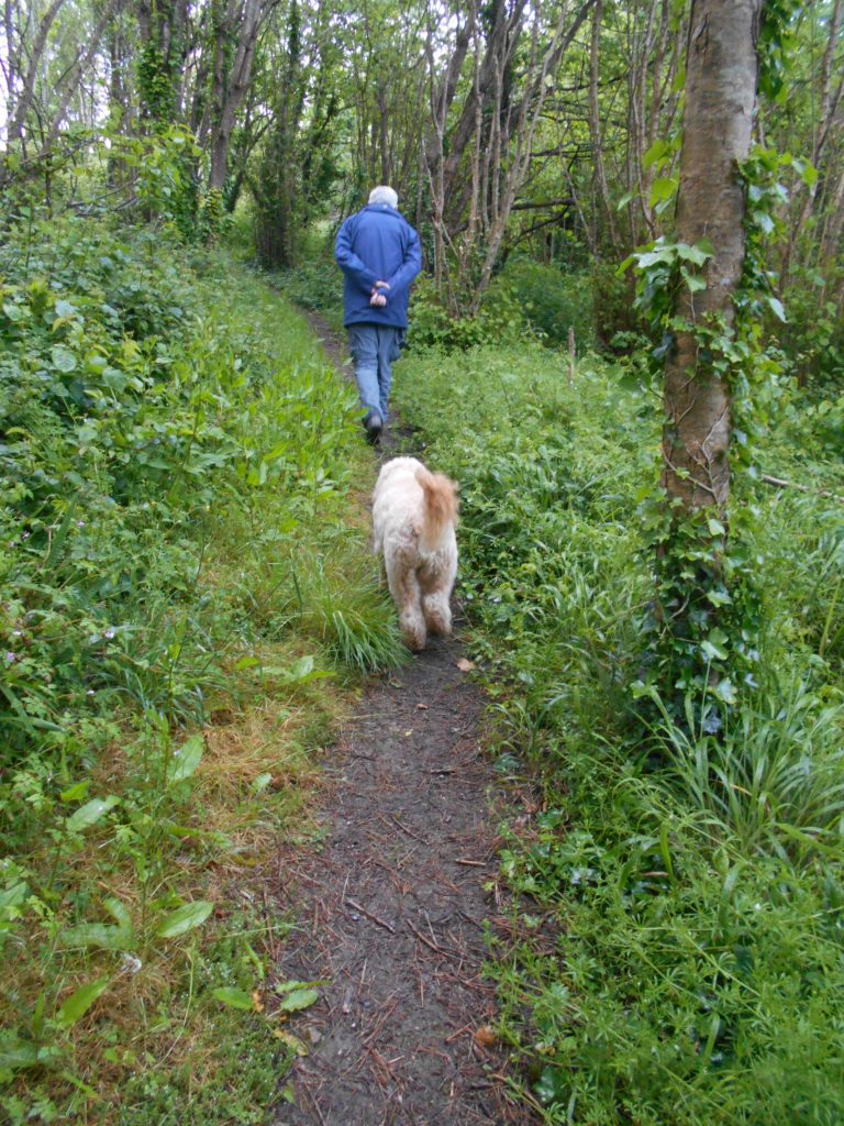 Merlin Farm Cottages Mawgan Porth Steep Path to get access to beach