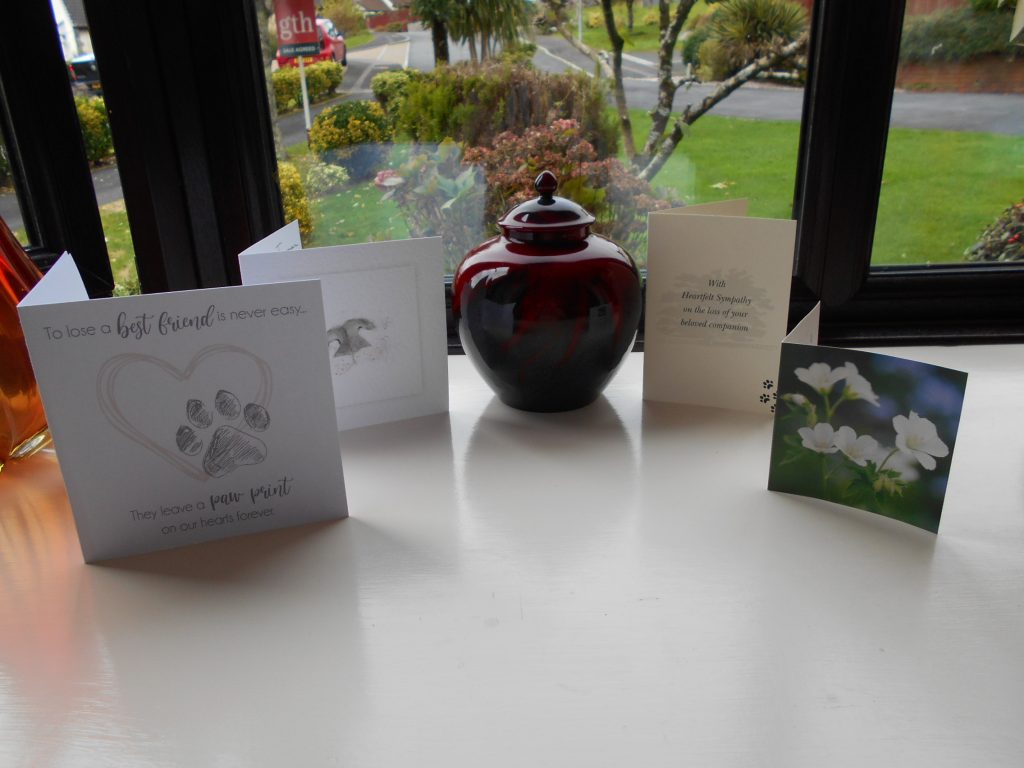 Archie's urn with the cards we received