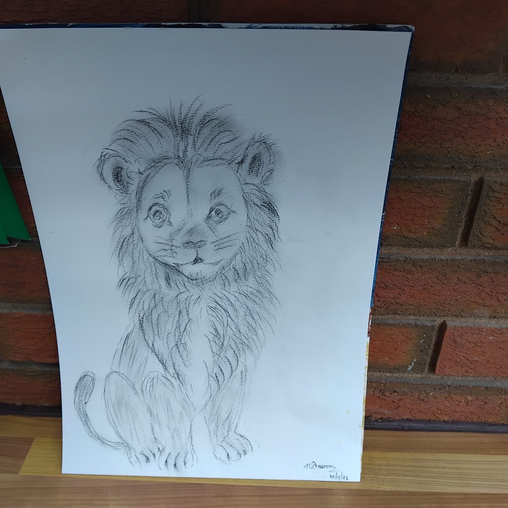 Charcoal pencil sketch of a cute lion by Karen Freeman